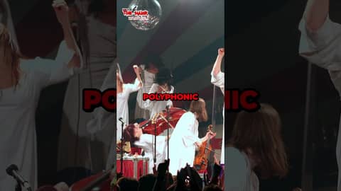 Uncover the Cost Saving Secret of Hiring a One Man Polyphonic Spree Cover Band #podcast #comedy