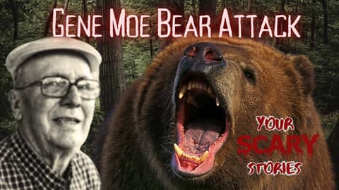 Gene Moe Bear Attack true scary story