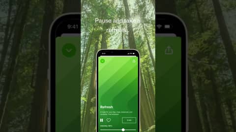 Meet the Refresh Vibe