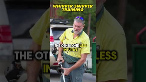 How to use a whipper snipper? #jimsmowing #jimsgroup #howto #gardeningtips #lawncare