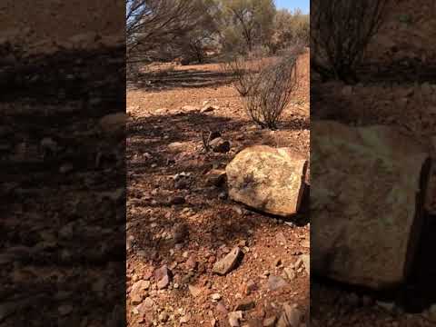 Roadside Reviews Episode III