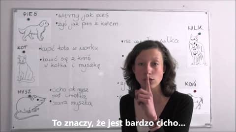 Polish for foreigners - idiomy ze zwierzętami