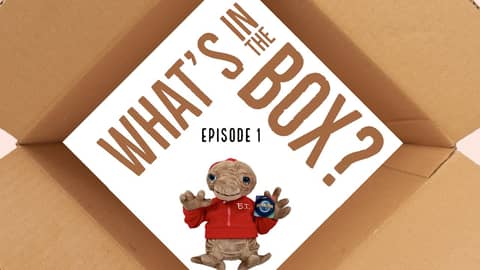 What's in the Box? Episode 1 What's in the Box? Episode 1