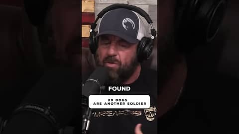 War K9s Are the Real Fking Heroes