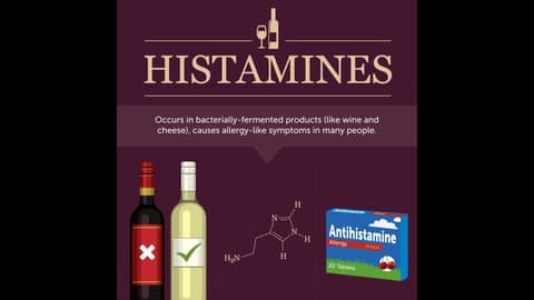 Episode 91-Histamines, Private Labels, Online Recommendations