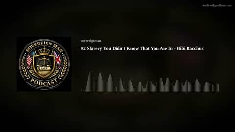 #2 Slavery You Didn't Know That You Are In - Bibi Bacchus