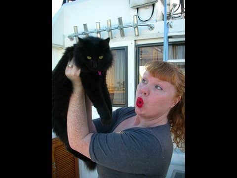 Ruby Checks In. #Cat #Hotel #Burbank #California