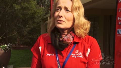 Gabbing with Groomers-Angela