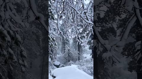 Gorgeous Snowfall at Big Bear Lake | Take a Moment to Relax Gorgeous Snowfall at Big Bear Lake | Take a Moment to Relax