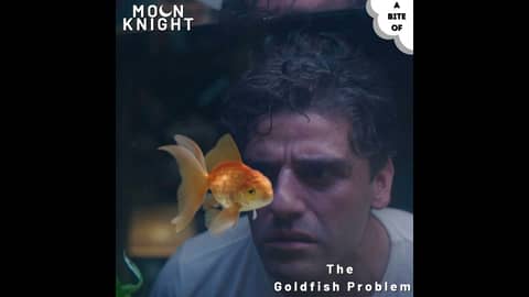 Moon Knight 1: The Goldfish Problem | Marvel