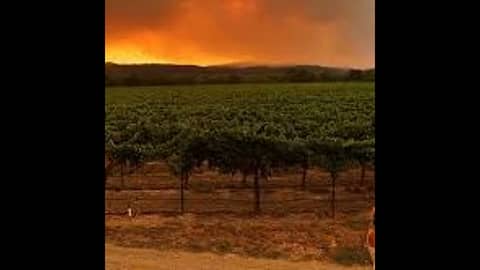 Episode 131-2020 Harvest Update