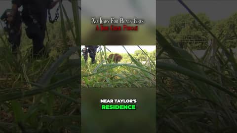 Unsettling Discoveries Unravel a Sinister Secret in Alexis' Tragic Story #blacktruecrimeseries