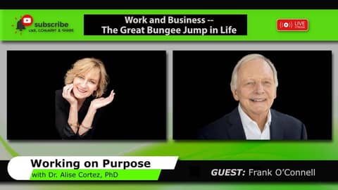 Work and Business - The Great Bungee Jump in Life (Working on Purpose)