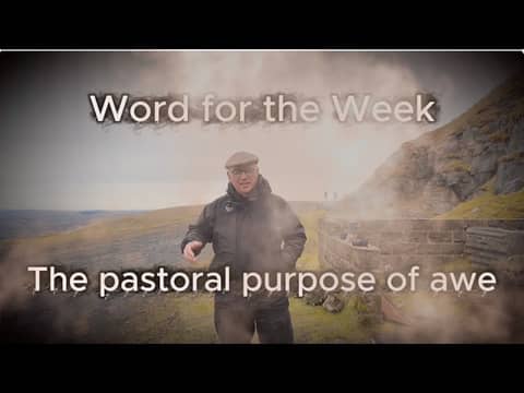 The Pastoral Purpose of AWE. Revelation 1: It isn't just there for the 'Wow Factor'