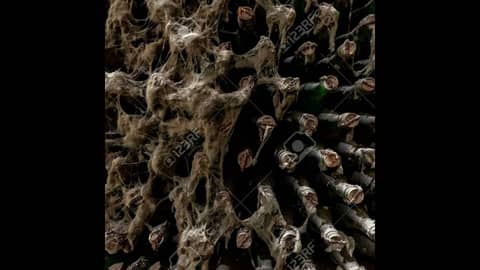 Episode 122-Wine Mold, Stocking Your Liquor/Wine Cabinet