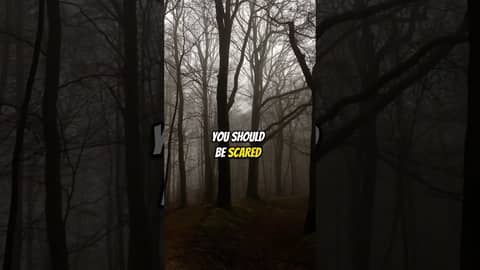 Face your fears, Do hard things