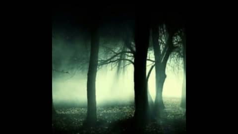 Halloween Special with Don and Kelly Johnson from Beyond the Dark Paranormal Halloween Special with Don and Kelly Johnson from Beyond the Dark Paranormal