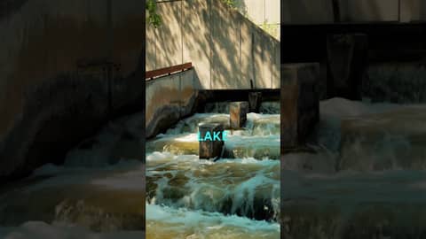 Restoring Sturgeon Habitat by Removing Grand River Dams