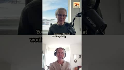 What are animals trying to say?