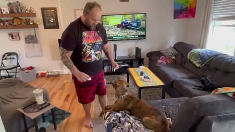 Ziggy Starpup picks the @ChicagoBears vs. @packers @NFL game Week 1 of the 2023 Season!!