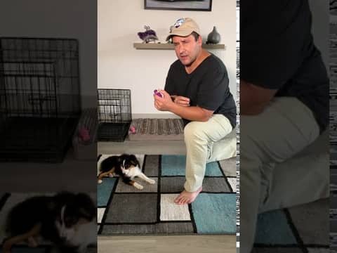 What is Clicker Training