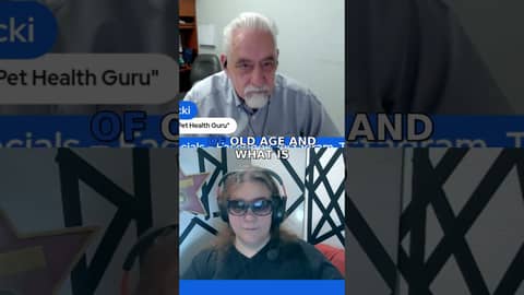 One Pug's Journey to a Vet-Free Life!