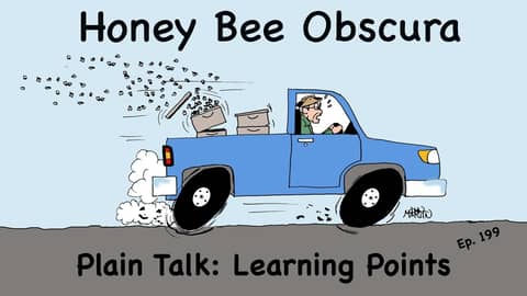 Plain Talk: Learning Points (199)