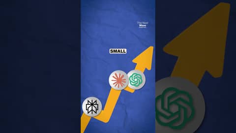 Microsoft AI CEO's Advice to Entrepreneurs