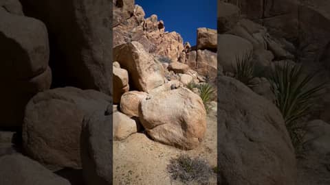 Enjoy a hike through Joshua Tree National Park!
