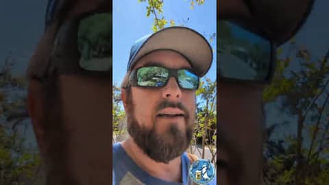 Blue Jays Intersquad Game: Fun Day at TD Ballpark! #shorts