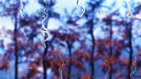 Rain Sounds White Noise 10 Hours for Sleeping or Studying