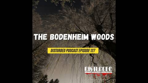 The Bodenheim Woods