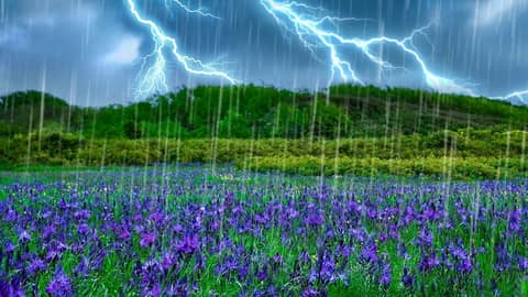 Thunder & Rain Sleep Sounds | Storm Ambience for Sleeping Thunder & Rain Sleep Sounds | Storm Ambience for Sleeping