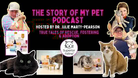 How Four Cats Taught This Couple Everything About Pet Food: Meet Holly Baer of Superior Feline