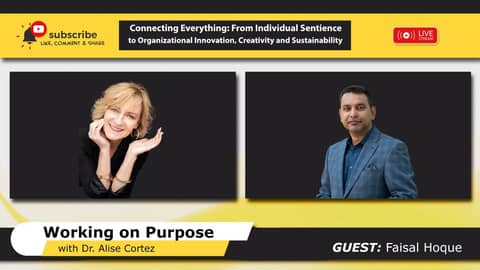 Connecting Everything: From Individual Sentience to Organizational Innovation and Sustainability