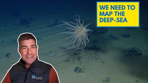 Map the Deep Sea: How Ocean Mapping Drives Conservation, Equity, and Innovation Map the Deep Sea: How Ocean Mapping Drives Conservation, Equity, and Innovation