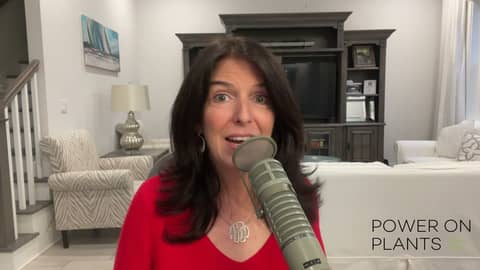 How to Make Quick, Delicious Homemade Vegetable Broth