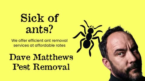 Dave Matthews Pest Removal | 108.9 The Hawk Commercial