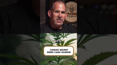 China’s Secret Plan in the American Weed Trade China’s Secret Plan in the American Weed Trade