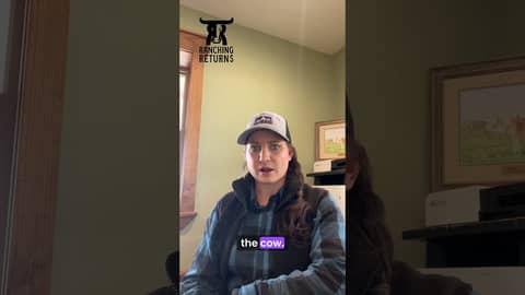 Episode 216 with Laura Burandt #cattlebusiness #ranch #ranching #sell/buy #business