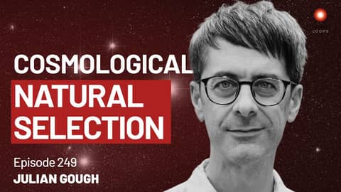 Julian Gough — The Egg and The Rock | Episode 249 Julian Gough — The Egg and The Rock | Episode 249