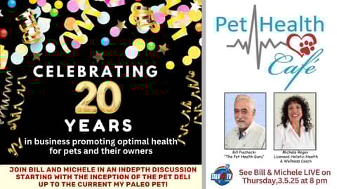 March 2026 is the 20 Year Anniversary! March 2026 is the 20 Year Anniversary!