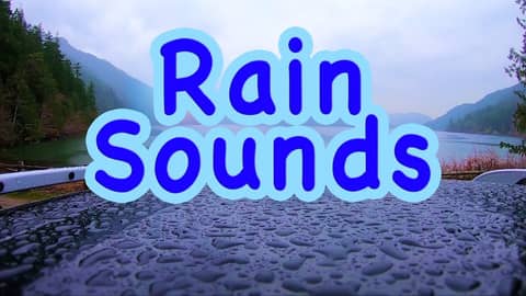 Gentle Rain & Lake Water Sounds | Sleep, Study, Focus with Rainstorm White Noise 10 Hours