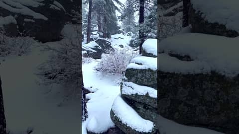 Heavy Snowstorm White Noise & Fresh Snow Heavy Snowstorm White Noise & Fresh Snow