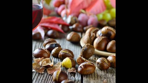 Episode 13- Nuts And Wine, Packing Bottles, Alcohol Levels, Balance And Structure