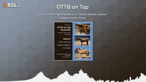 S2 E11: OTTB on Tap Evaluates Vol 3 - Flowers Apriority, Cowboy Swagger and Mr. Cellular S2 E11: OTTB on Tap Evaluates Vol 3 - Flowers Apriority, Cowboy Swagger and Mr. Cellular