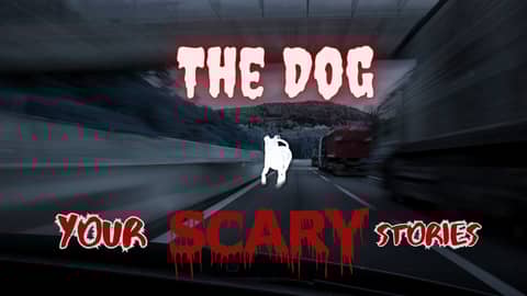 The Dog true scary story