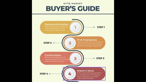 Ep. 3 OTTB Market Buyer's Guide