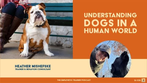 Understanding Dogs In a Human World - Heather Mishefske -S4 E30