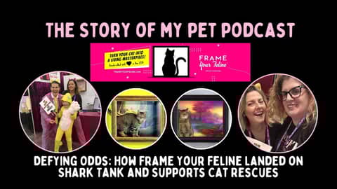 Defying Odds: How Frame Your Feline Landed on Shark Tank and Supports Cat Rescues